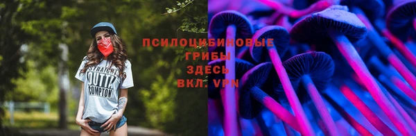 прущая мука Арсеньев