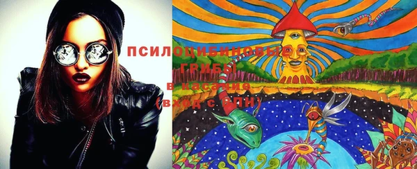 прущая мука Арсеньев