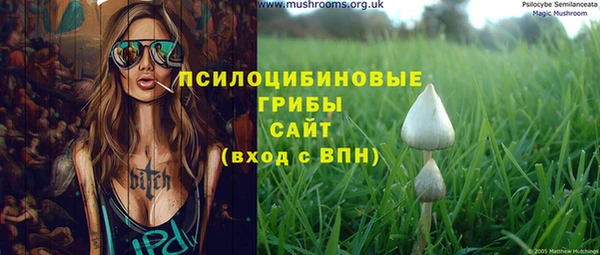 крисы Аркадак