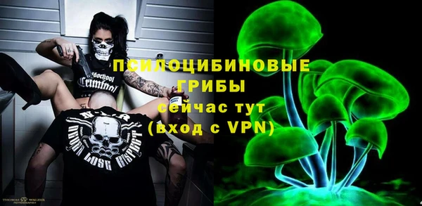 прущая мука Арсеньев