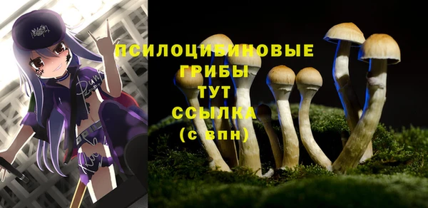 спайс Нязепетровск